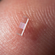 Illustration for article titled This Particle Accelerator Is Barely Bigger Than a Grain of Rice